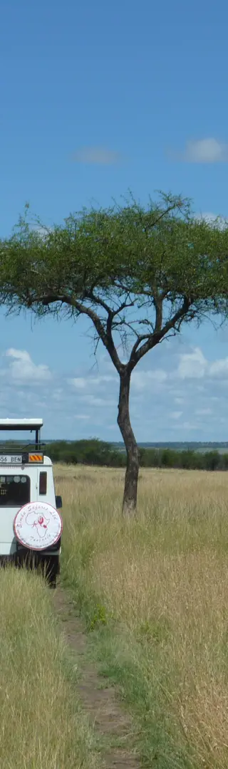 Serengeti